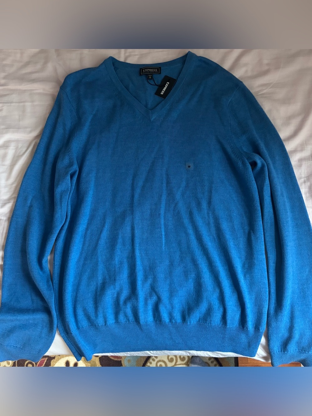 Express Men’s V-Neck Sweater in Blue